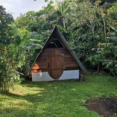 Cabana Chalet Cariari  Экстерьер фото